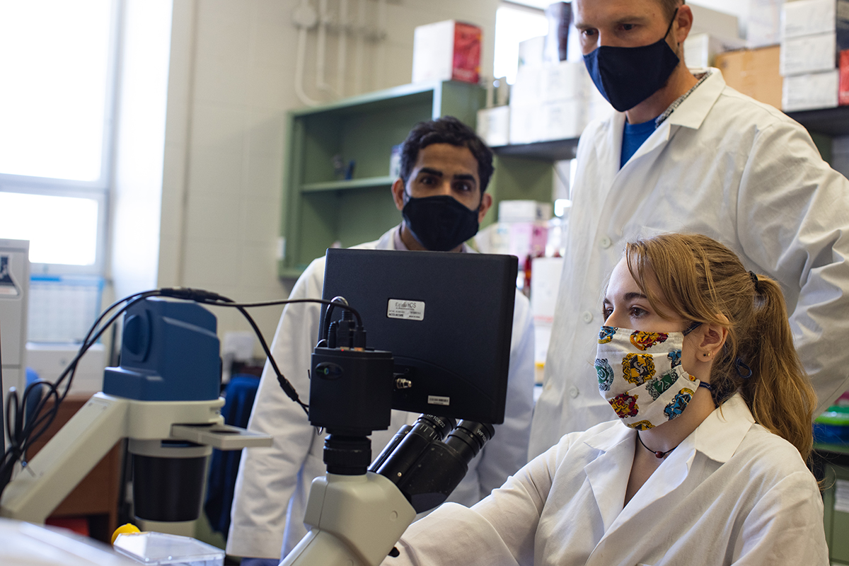 Three researchers work in a molecular biosciences lab