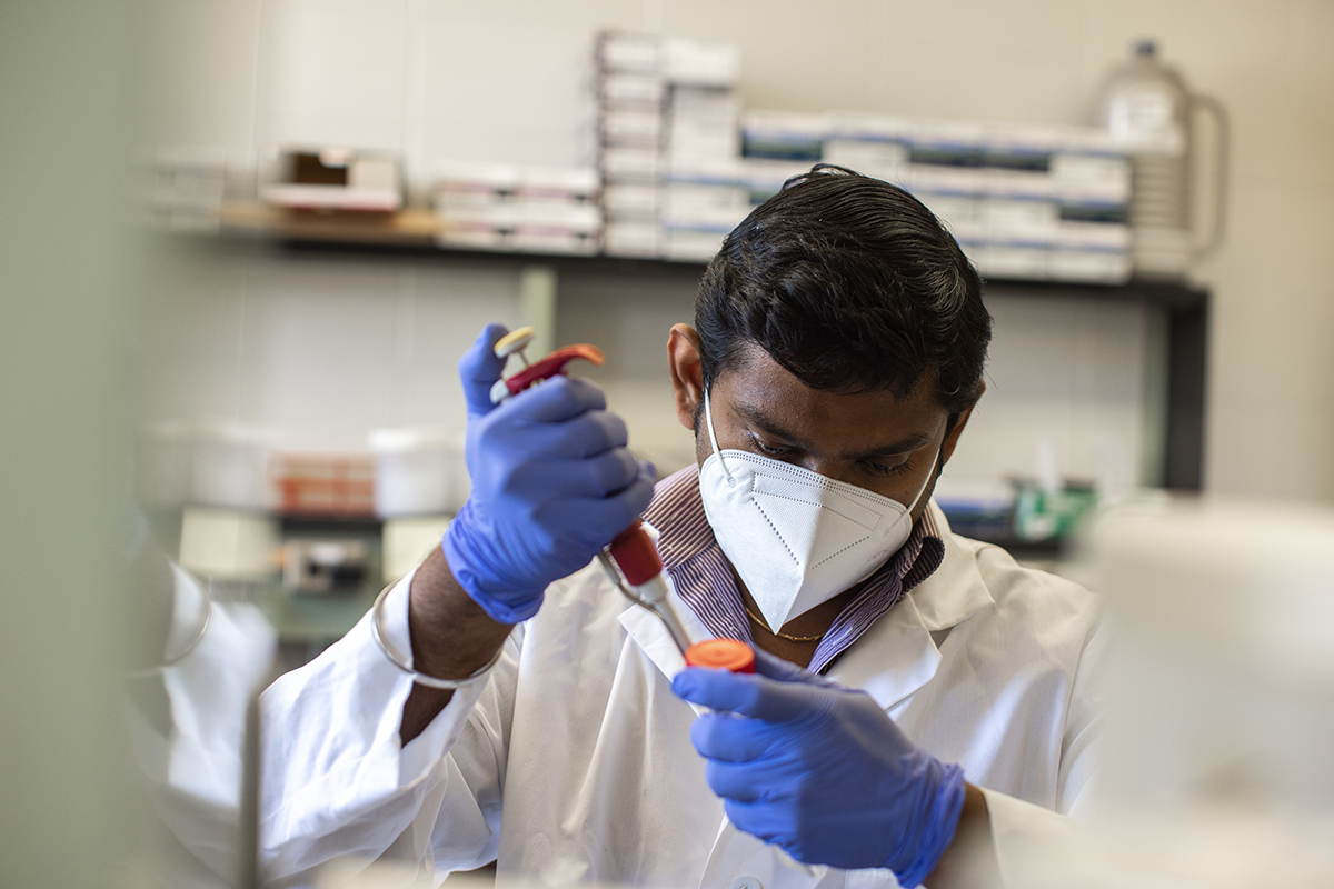 A KU researcher works in a molecular biosciences lab