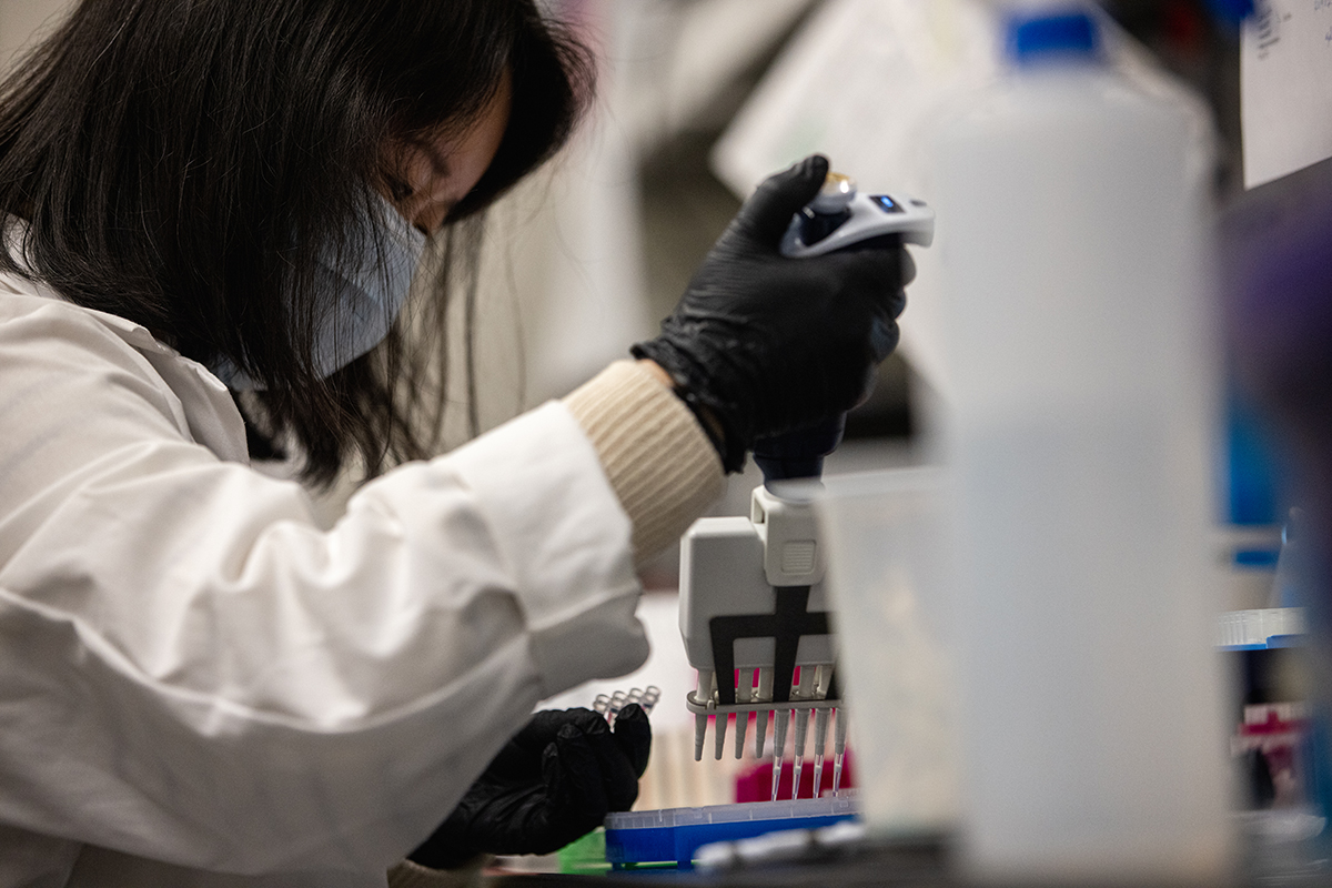 A KU researcher works in a molecular biosciences lab